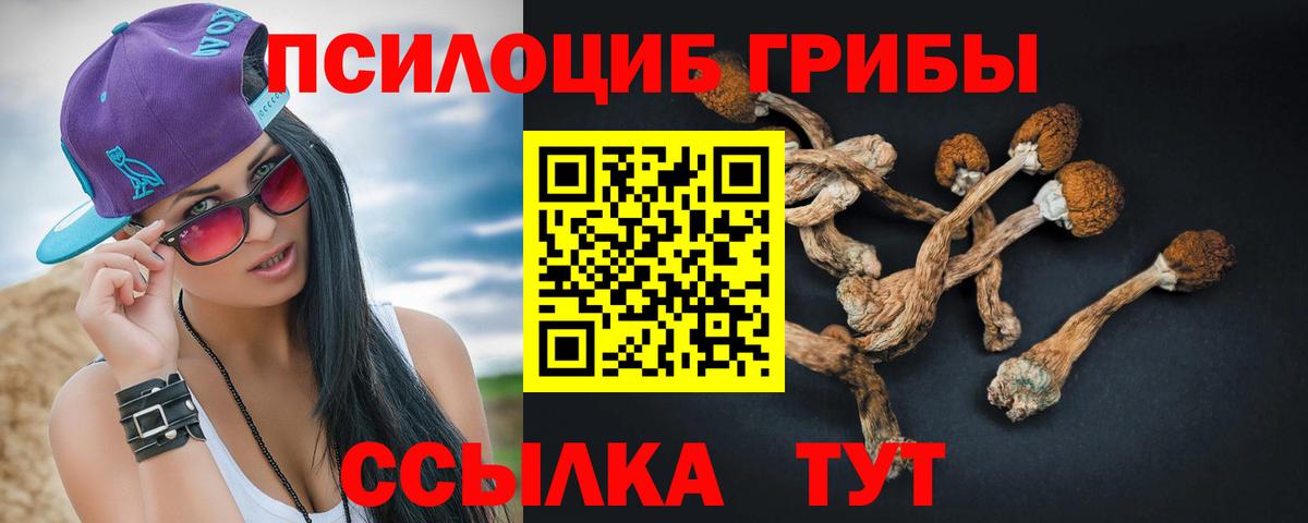 Псилоцибиновые грибы Cubensis  сколько стоит  Вход с VPN  Луховицы  Галлюциногенные грибы Cubensis 